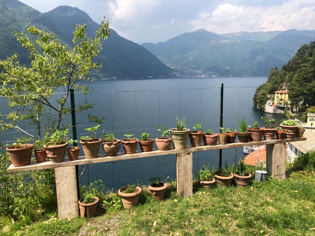 Gli Orti Della Civera " Cottagecore" Amazing View Nesso Luaran gambar